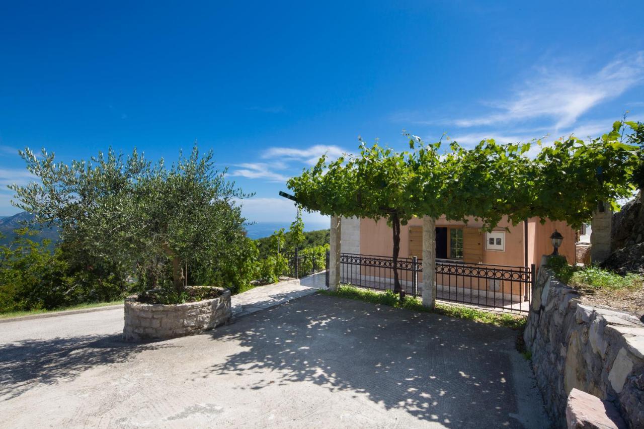 Villa Robinson Petrovac Exterior photo